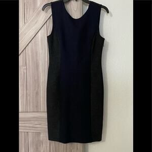 Theory size 6 sleeveless paneled dress